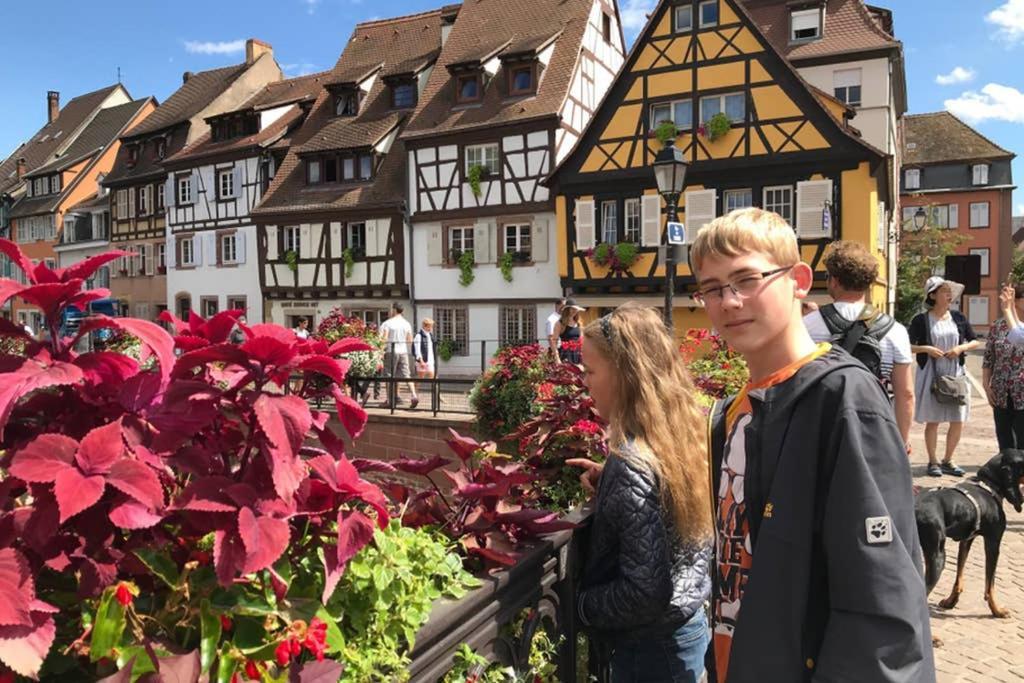 Lullaby House - Large, Full Comfort 5 Star Chalet House In The Vosges Ramonchamp 외부 사진